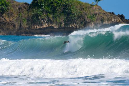 28168450 10155914485371839 3947081915609498525 n (1)